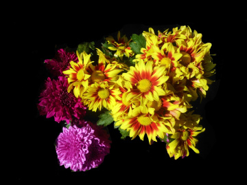 BLÜTEN