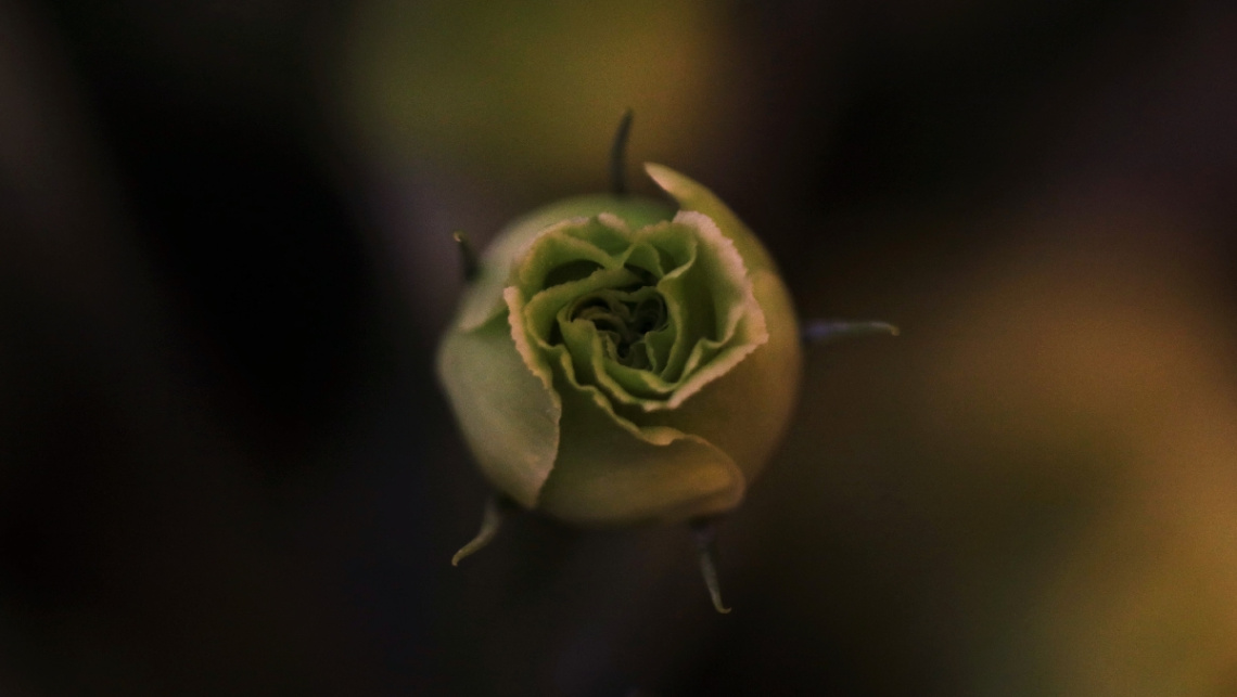 Green...
