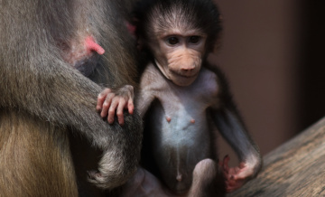 Safe with Mom
