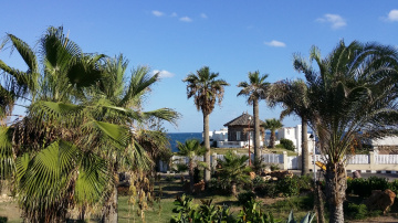 Egypt  - Alexandria - Almontazah 