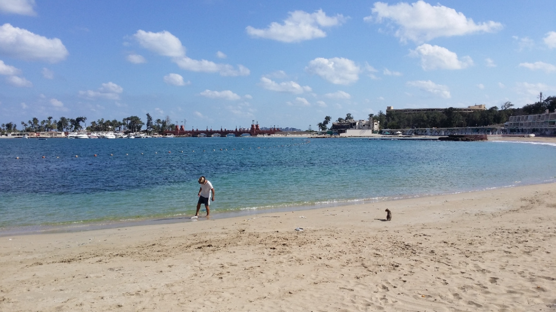 Egypt  - Alexandria - Almontazah 