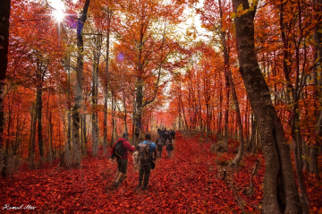 Yürüyüş parkurunda Son bahar