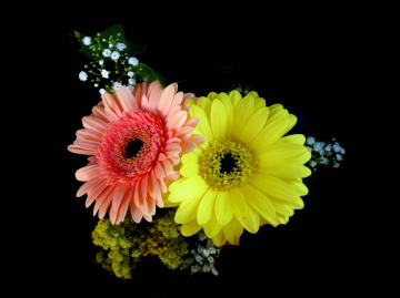 BLÜTEN