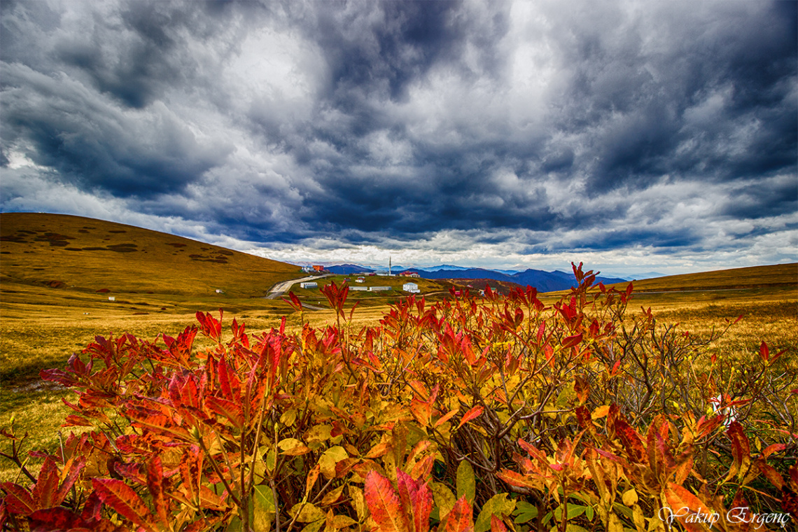 YAYLA