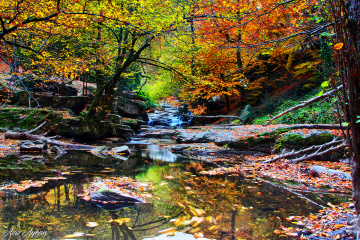 Şelale