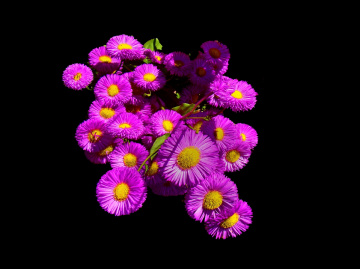 BLÜTEN