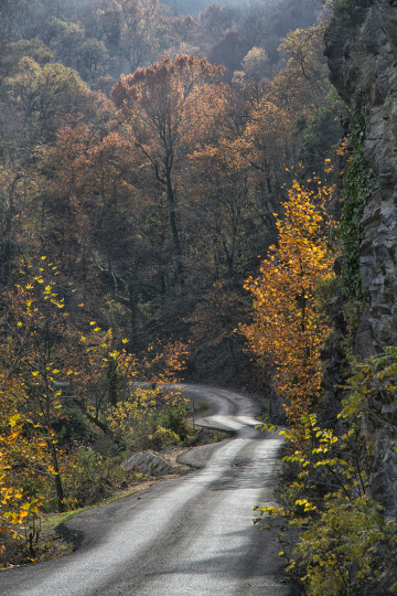 Yol