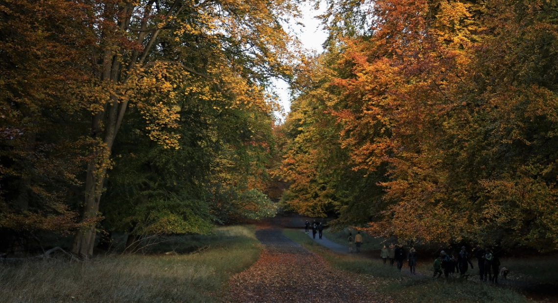 An Autumn Day