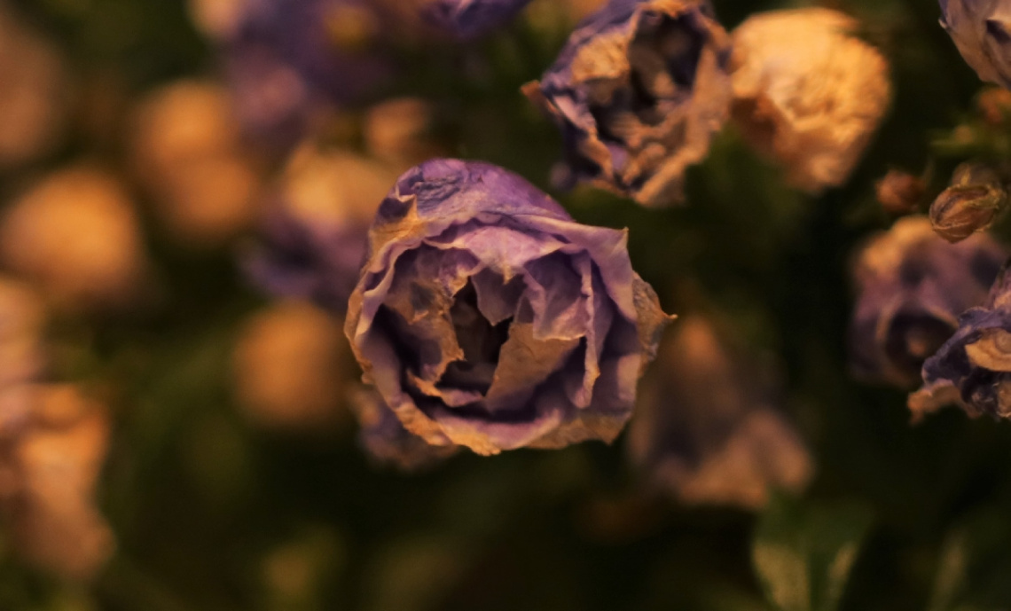 Close up...