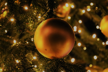 Tivoli - November 2017