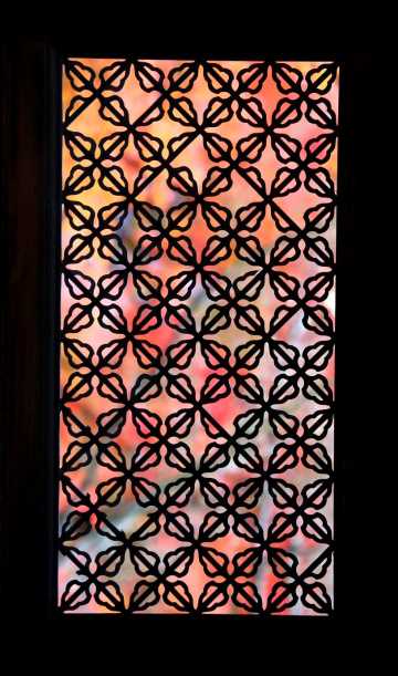 Autumn window