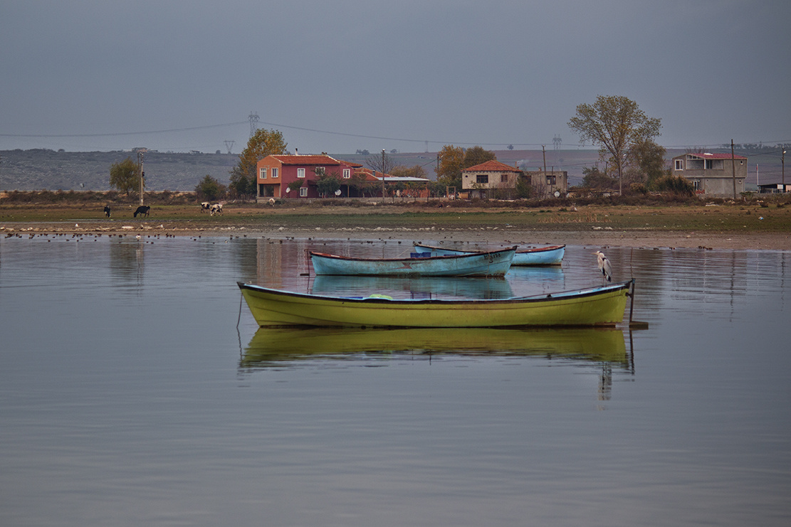 Sandallar -Bandırma Kuş Cenneti
