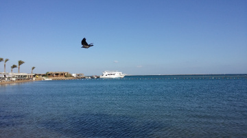 Egypt  - Hurghada