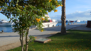 Egypt  - Hurghada