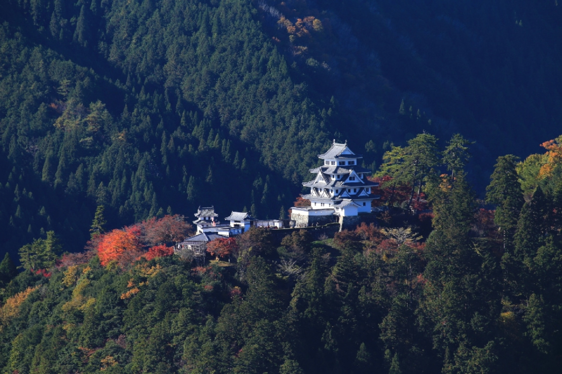 Castle