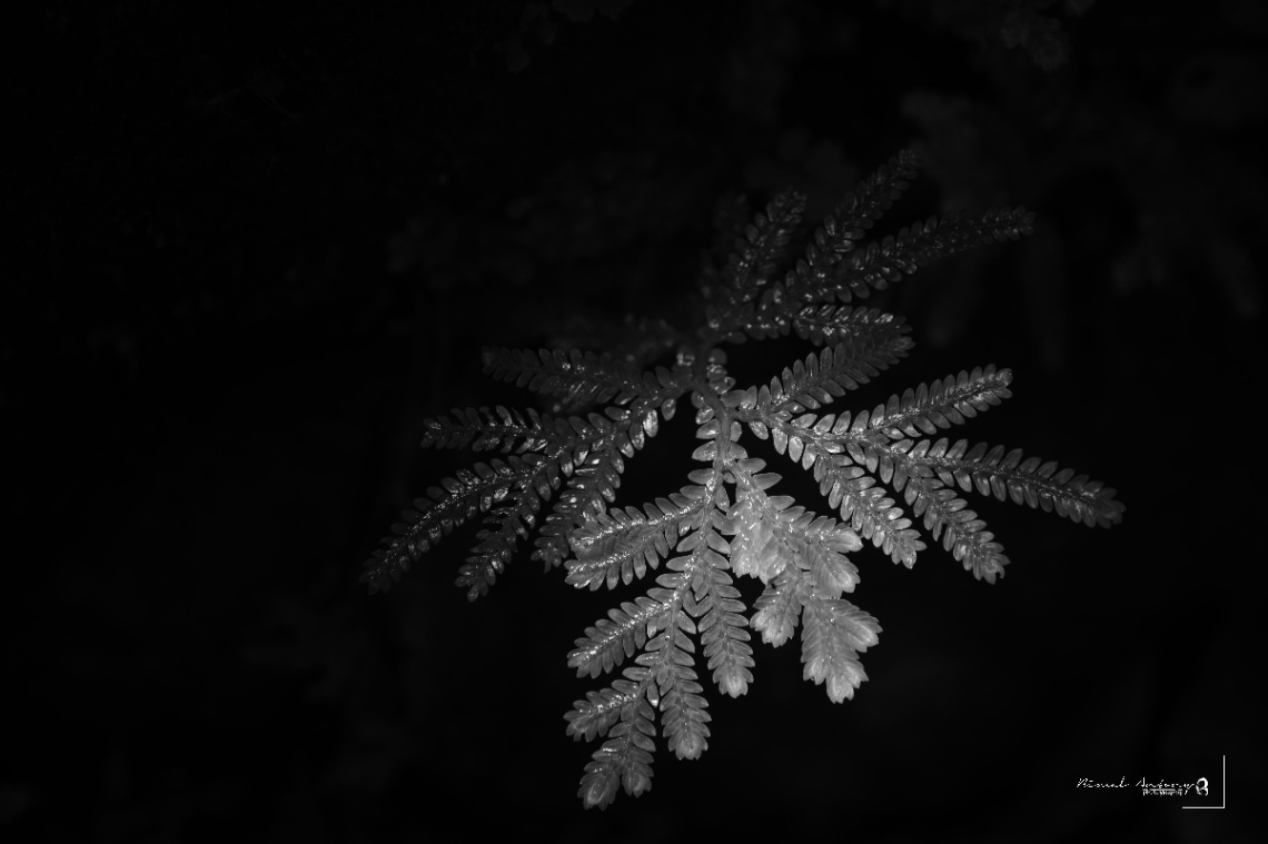 lighted