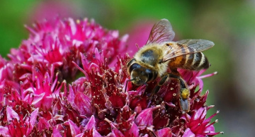 Longing for summer...