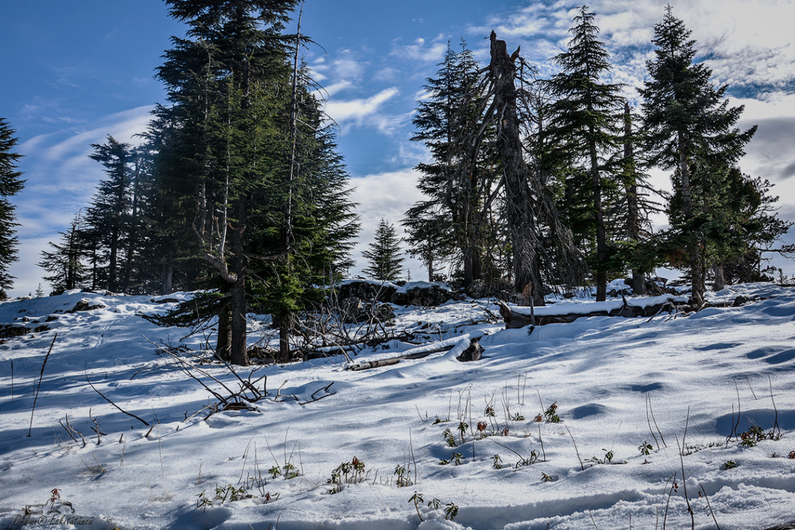 Snowtime!