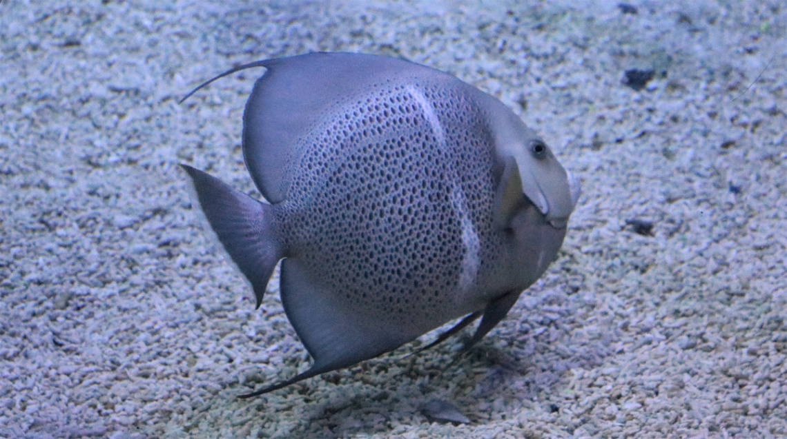One