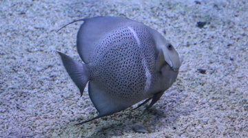 One