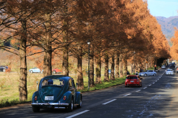 Avenue