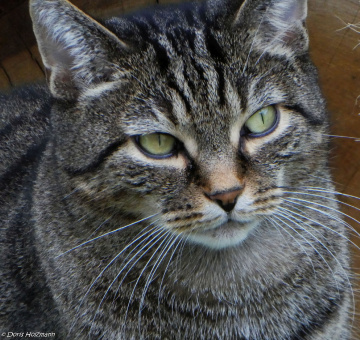 Dieser Blick ...