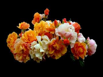 BLÜTEN