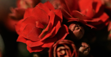 Red...