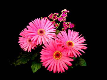 BLÜTEN