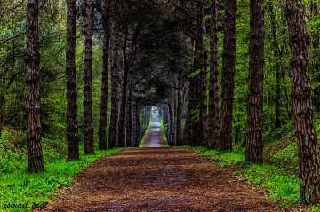 Sonu Huzura Mutluluğa  Giden Bir Yol İstiyorum...