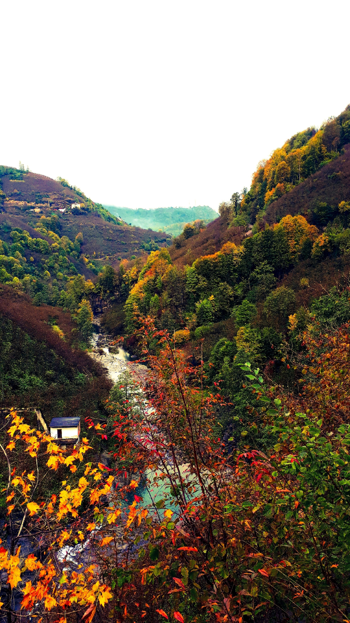 Sonbahar,degirmen,ırmak