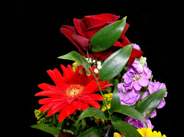 BLÜTEN