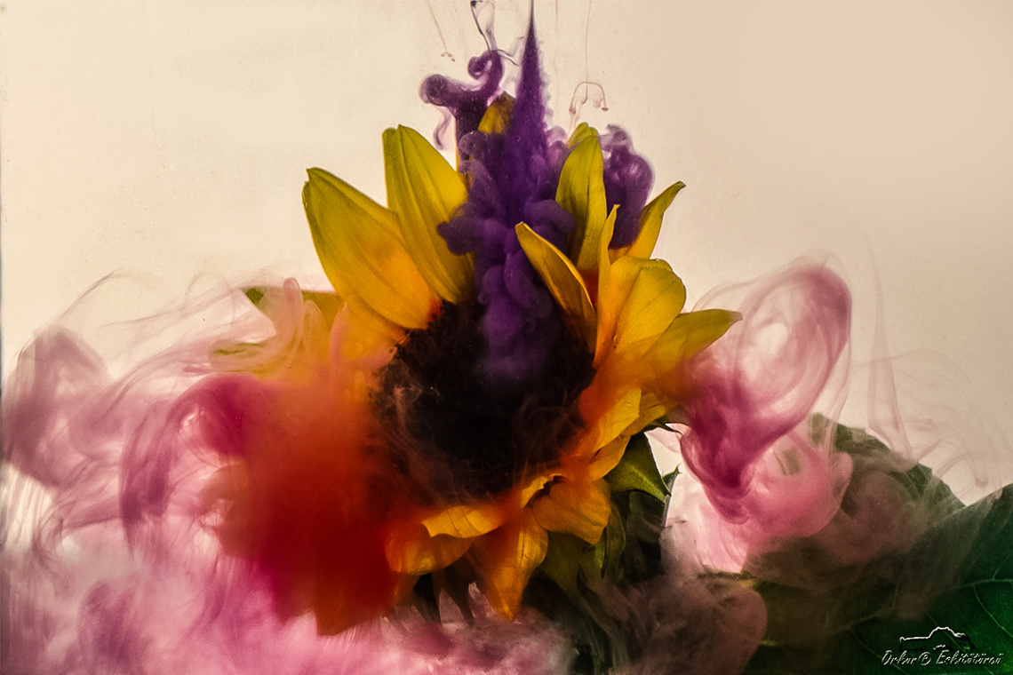 ink drop in water