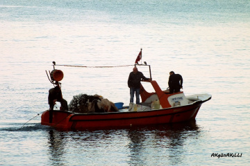 balıkcı