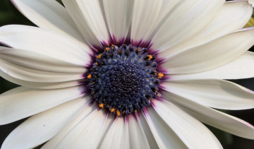 One