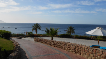 Egypt  -  Sharm Alsheikh