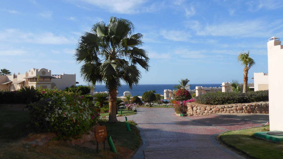 Egypt  -  Sharm Alsheikh