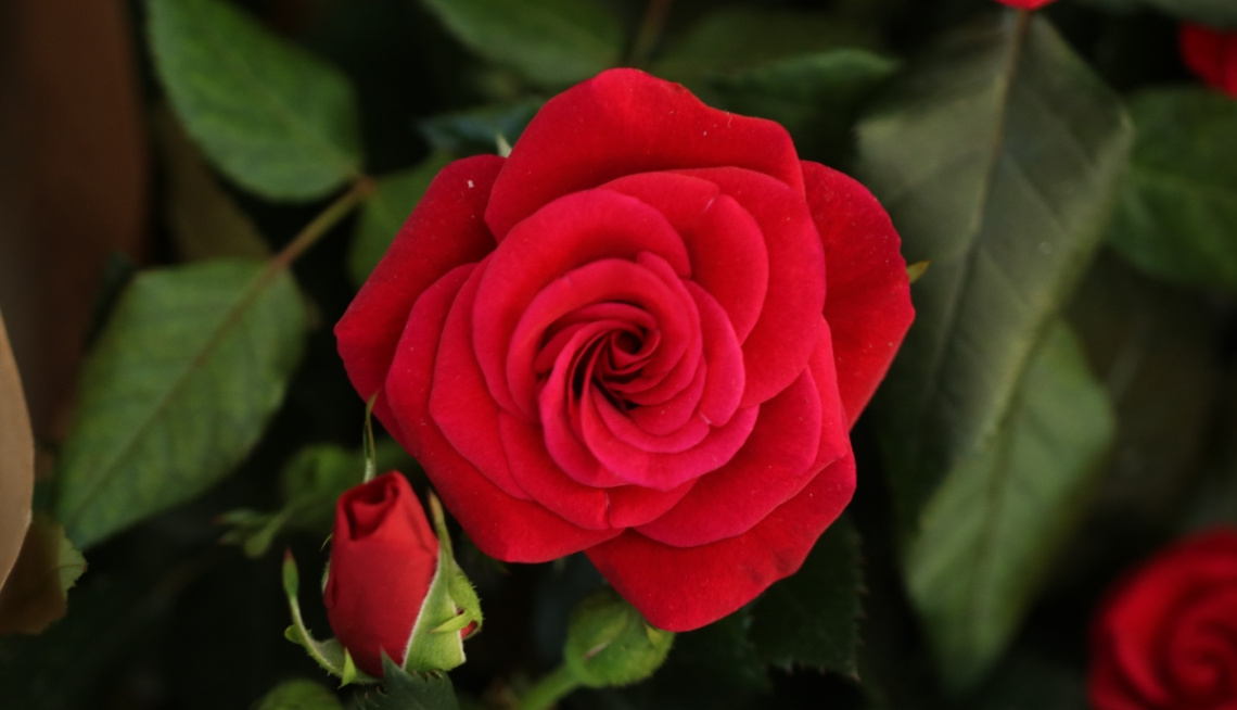View in red