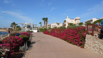 Egypt  -  Sharm Alsheikh