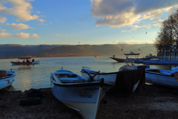 Gölyazı