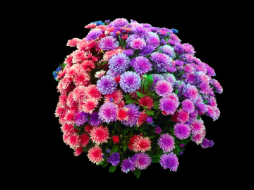 BLÜTEN