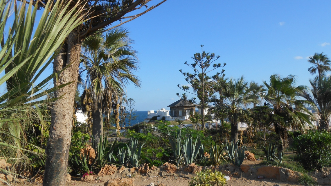 Egypt  - Alexandria - Almontazah 