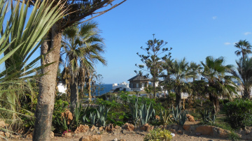 Egypt  - Alexandria - Almontazah 