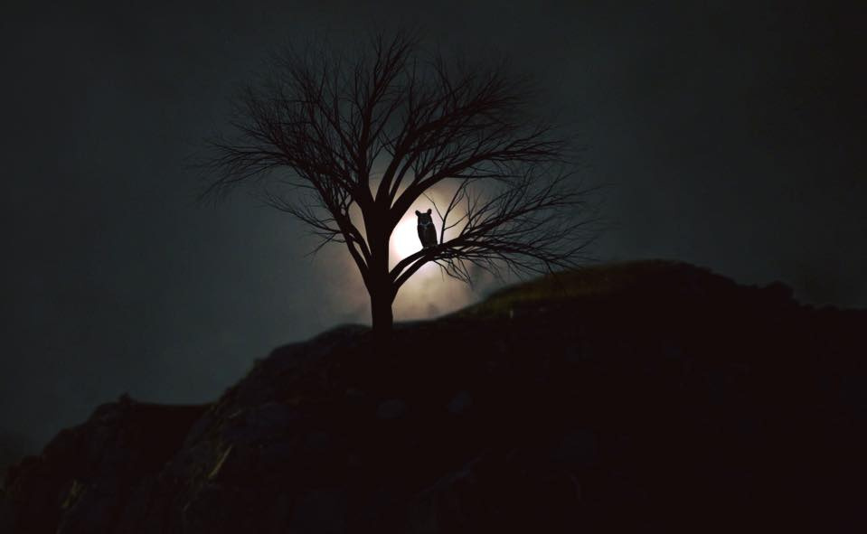 gece ve sessizlik