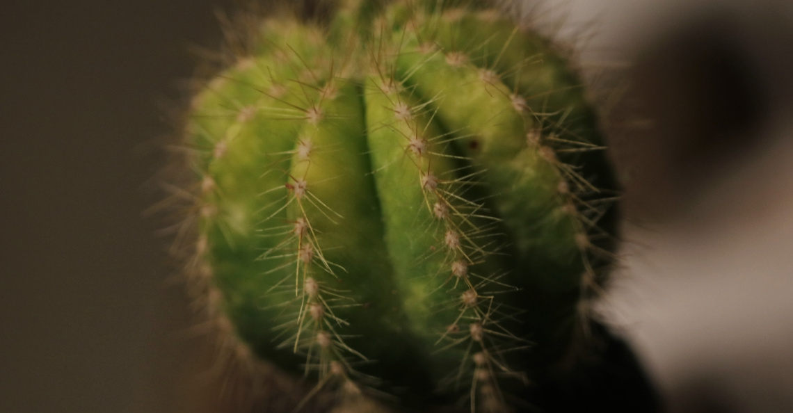One