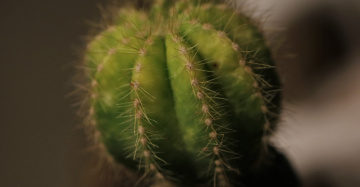 One