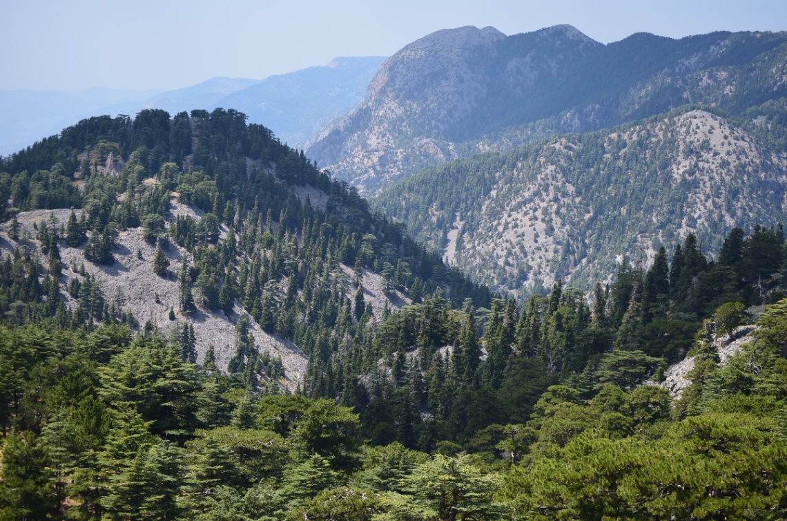 Akdağ Alanya 2860 mt