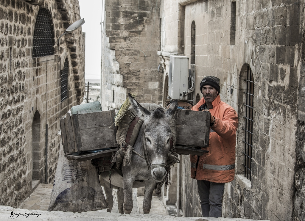 Mardin
