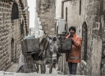 Mardin