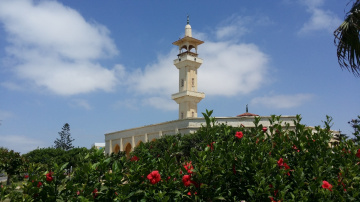 Egypt  - North coast  